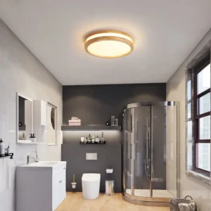 Adjustable 3-Color LED Ceiling Light – 30W Modern Indoor Lamp for Balcony & Home