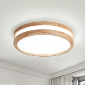 Adjustable 3-Color LED Ceiling Light – 30W Modern Indoor Lamp for Balcony & Home
