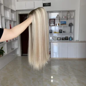 Caucasian Women's Premium Human Hair Lace Wig