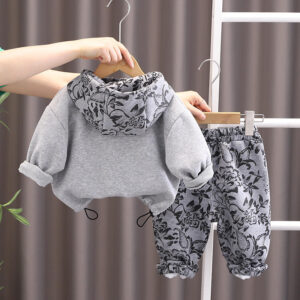 All-Season Boys' Hoodie and Pants Ensemble