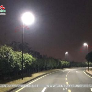 MaxiLight Waterproof Solar Street Lamp