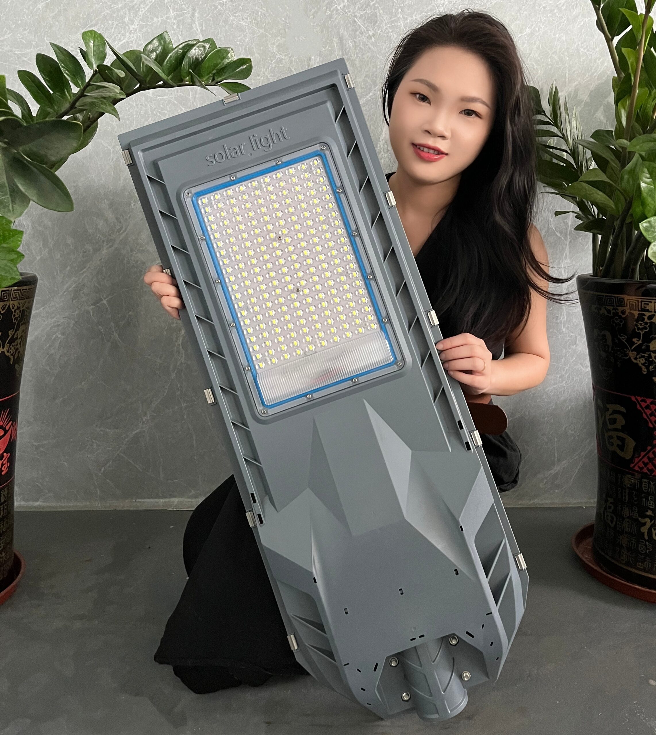 SolarShield High Lumen Street Light with Motion Sensor