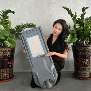 SolarShield High Lumen Street Light with Motion Sensor